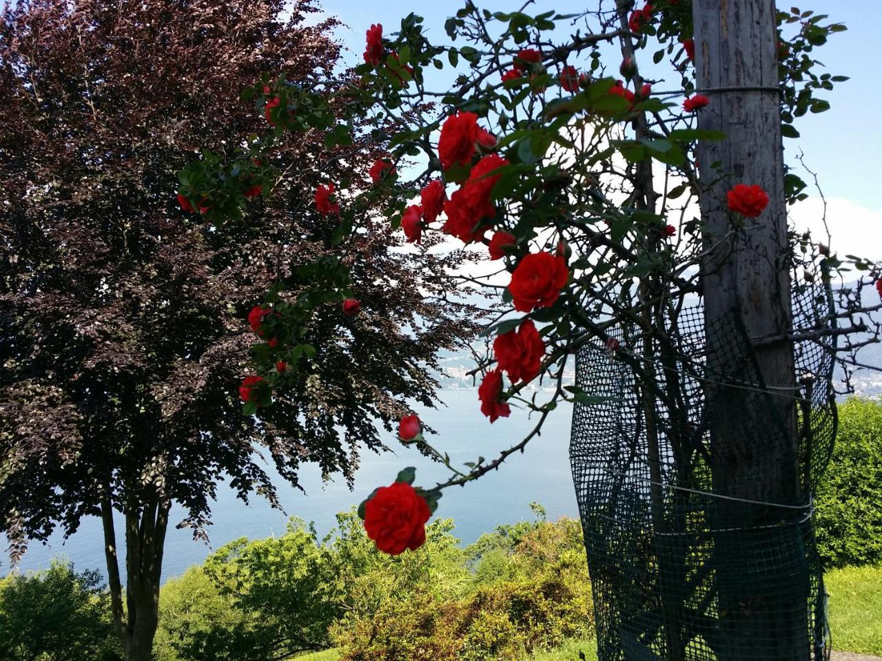 Locanda Pozzetto Laveno-Mombello Εξωτερικό φωτογραφία